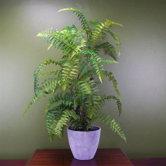 Artificial Fern Tree in Decorative Planter 70cm-0